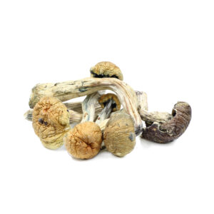 Casper Mushroom